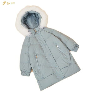 _ER[g LbY q AE^[EFA _EWPbg q AE^[ ̎q j̎q ~p ȃWPbg j  LbY ʉ ʊw \ 蕨 t[ht  t@[ Lb