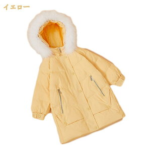 _ER[g LbY q AE^[EFA _EWPbg q AE^[ ̎q j̎q ~p ȃWPbg j  LbY ʉ ʊw \ 蕨 t[ht  t@[ Lb