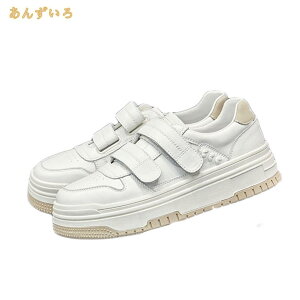 Xj[J[ }WbNe[v Xb| fB[X ₷ Xj[J[ ؂ [Jbg  ʋC Vv ₷ JWA t@bV ʋ ʊw X|[c jO 