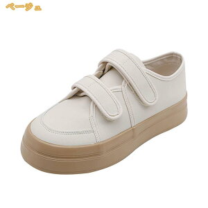 }WbNe[v  t  H xNXj[J[ fB[X  JWA tbgV[Y [Jbg ؂ ʋC ~ Ȃ ʊw  X|[c JWA tbgV