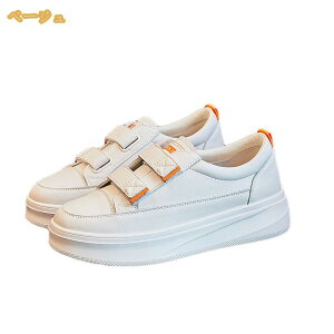 Xj[J[ fB[X Xj[J[ fB[X fB[XXj[J[ V[Y JWAV[Y r Xb| 4cm q[Abv Xj[J[ y ɂ 