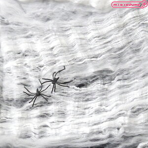 1266IyE[zBi ȒPw偂̑ XpC_[EFu lbg N nEB  Bep ʂB  z[ Â w  