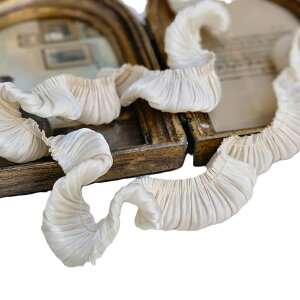 28mmo[t[X{  fR gJP[X fR nhCh Ntg P~J[X [bg [b^