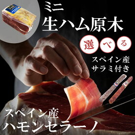 楽天市場 ハモンセラーノの通販