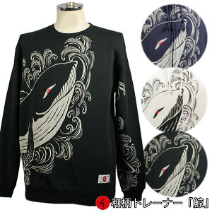 ag[i[u~vg  N pC s Y fB[X 傫TCY n   FT 