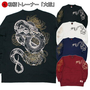 ag[i[uցve  x N pC s Y fB[X 傫TCY n   FT 