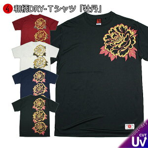 �y25%OFF�N�[�|���Ώەi �ő�P47�{�z�a���N�[���h���C�⊴T�V���c�u���O�v�A���J�W �K�� �� ���� t�V���c �������� �����Y ���f�B�[�X �傫���T�C�Y ��� ���s �ő�5L