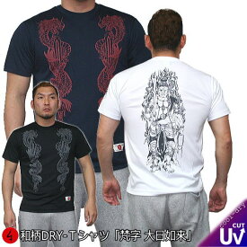 【20%OFFクーポン対象品 最大47倍SALE】和柄クールドライ冷感Tシャツ「倶利伽羅不動」梵字 仏画 竜 龍 半袖 tシャツ 送料無料 メンズ レディース 大きいサイズ 手染 京都 最大5L