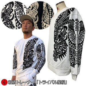 ag[i[ugCovAJW    N pC s Y fB[X 傫TCY n   FT 