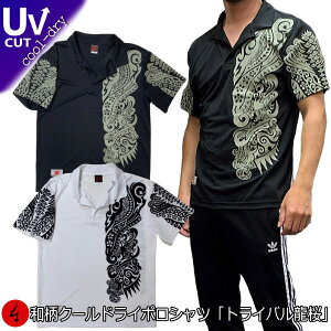 aN[hC⊴|VcugCov ő5L AJW     tVc St Y fB[X 傫TCY   s