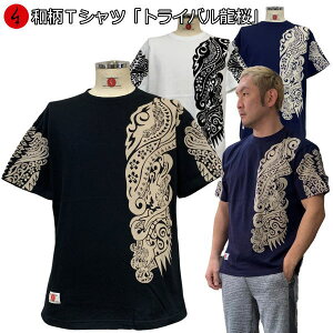 aTVcugCov2L܂ Ɍn ~łTVc  tVc AJW     Y fB[X n   FT