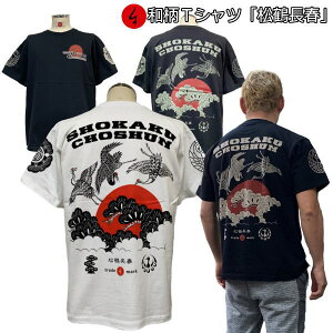 aTVcuߒtv2L܂ Ɍn ~łTVc  tVc AJW   mo j  Y fB[X n   FT