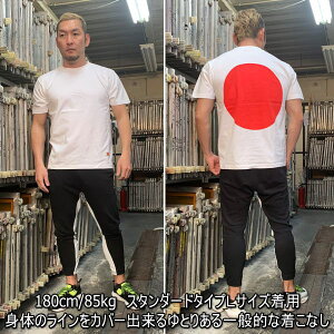 和柄半袖Tシャツ「日ノ丸」日本日の本国旗送料無料メンズレディースオリジナル大きいサイズ生地服手染京友禅代引は通常送料