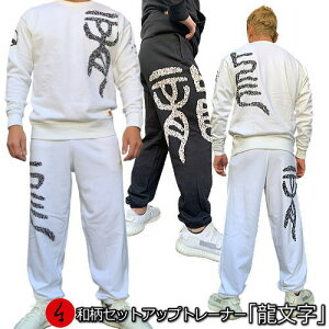 y20%OFF SALE őP47{za㉺Zbgy3L`4Lzg[i[uv   䶗 Ɩ pW} XEFbg pC s Y fB[X 傫TCY  FT