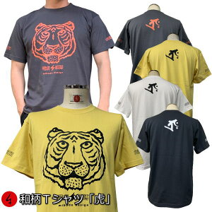 aTVcuՁv2L܂ Ɍn ~łTVc  tVc AJW  ln b s  Y fB[X n   FT