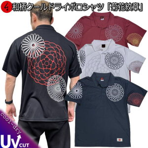 aN[hC⊴|VcueԖ́v ő5L AJW Ɩ ے    tVc St Y fB[X 傫TCY  s