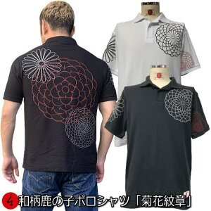 yőP47{za̎q|VcueԖ́v傫TCY 3L 4L 5L AJW Ɩ ے    tVc Y fB[X  s 