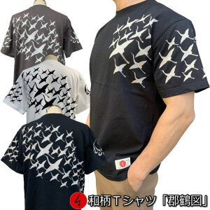 aTVcuSߐ}v3Lȏ 傫TCY Ɍn ~łTVc  tVc  ܂ AJW Ɩ s  Y n   FT