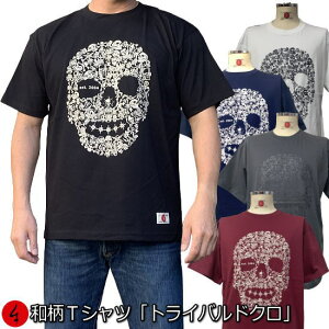 aTVcugCohNv2L܂ Ɍn ~łTVc  tVc XJ  Jx AJW s  Y fB[X n   FT