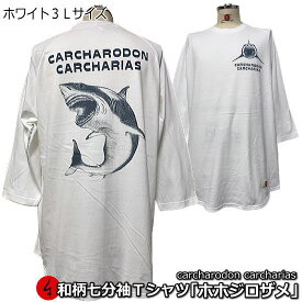 【即配ホワイト3L(2XL)サイズ】和柄七分袖Tシャツ「ホホジロザメ」-CARCHARODON CARCHARIAS-
