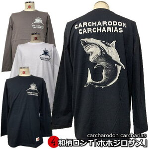 aTuzzWUv-CARCHARODON CARCHARIAS-ő3L T L AJW tVc s  Y fB[X 傫TCY n   lR|X֑ FT