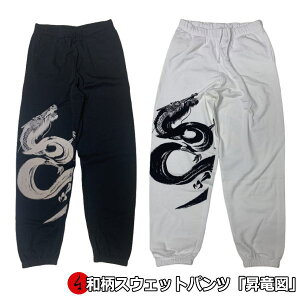 y30%OFF SALE őP47{zaXEFbgpcu}v M hS   AJW  pC Y fB[X 傫TCY  s