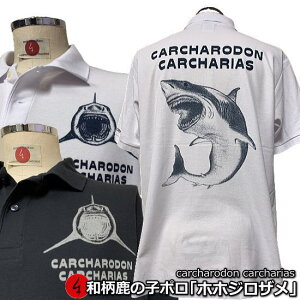 a̎q|VcuzzWUv-CARCHARODON CARCHARIAS-傫TCY 3L 4L 5L T L AJW  tVc Y fB[X  s 