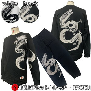 y20%OFF SALE őP47{za㉺Zbgy3L`4Lzg[i[u}v M hS   AJW pW} XEFbg pC s Y fB[X 傫TCY  FT