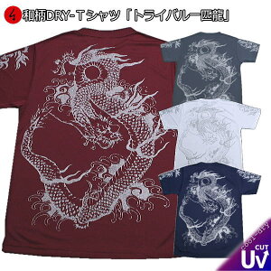 aN[hC⊴TVcugCoCv   tVc  Y fB[X 傫TCY  s ő5L