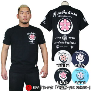 aTVcudv-yae sakura-3Lȏ 傫TCY Ɍn ~łTVc  tVc  Y n    FT 