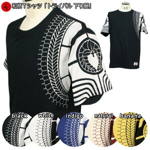 aTVcugCo蓡v3Lȏ 傫TCY Ɍn ~łTVc  tVc s  Y n   FT |lVATA Ɩ