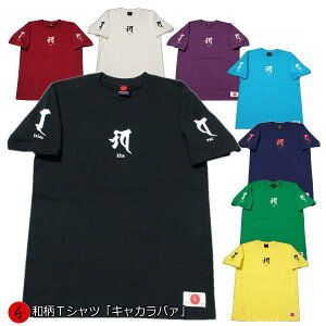 aTVcuLJo@v3Lȏ 傫TCY Ɍn ~łTVc  tVc s  Y n   FT 