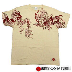 y30%OFF SALEzaTVcu}v2L܂ Ɍn ~łTVc  tVc s  Y fB[X n   FT