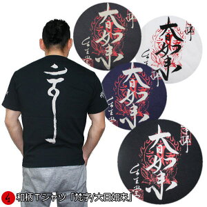 aTVcu@v3Lȏ 傫TCY Ɍn ~łTVc  tVc  s  Y n   FT