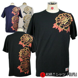 aTVcuOv2L܂ Ɍn ~łTVc  tVc   s  Y fB[X n   FT