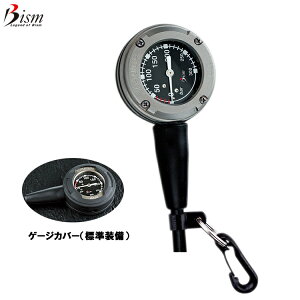 [ Bism ] r[CY GP2410 [cv]