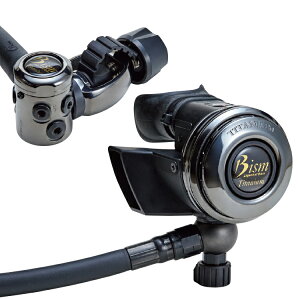 [ Bism ] RX4100DL _ChCNJ[{R[eBO M[^[