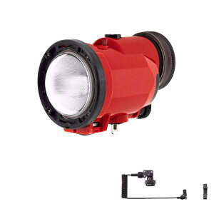 [ INON ] S-220 L^DP[uZbg [ S-220 / L^DP[uESubVZbg2 SS-LL ] Be Xg{Zbg