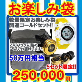 [ mic21オリジナル ] 2025 お楽しみ袋 開運ゴールドセット 福袋