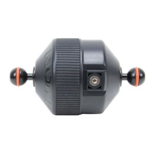 [ INON ] Cm Kt[gA[S{fB