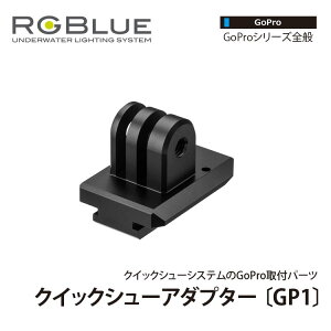 [ RGBlue ] �A�[���W�[�u���[ QSA-GP1 �N�C�b�N�V���[�A�_�v�^�[ GP1