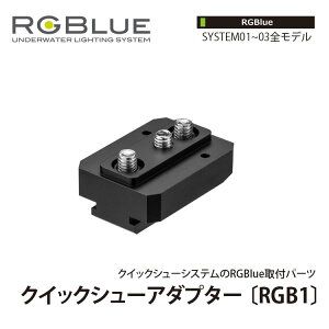 [ RGBlue ] �A�[���W�[�u���[ QSA-RGB1 �N�C�b�N�V���[�A�_�v�^�[ RGB1