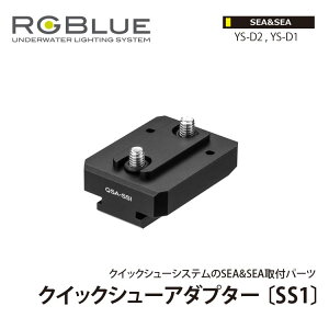 [ RGBlue ] A[W[u[ QSA-SS1 NCbNV[A_v^[ SS1