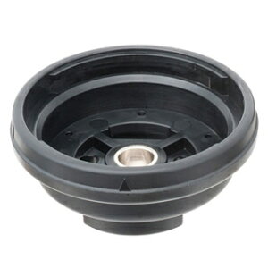 [ INON ] Cm ADYz_[Et[gA[piSDYΉj