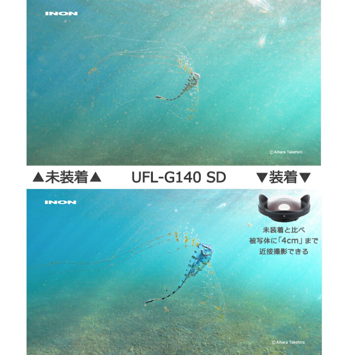楽天市場】[ INON ] イノン UFL-G140 SD 水中セミフィッシュアイコン  