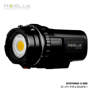 ダイビング用品 rgblue system02の人気商品・通販・価格比較 - 価格.com