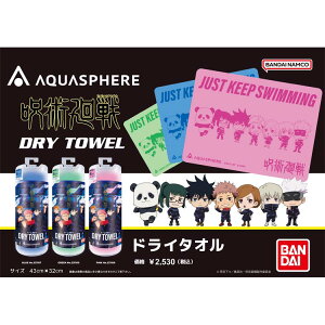 ��p���� [ �A�N�A�����O ] AQUASPHER ��p���� �h���C�^�I�� [ 43cm×32cm ]