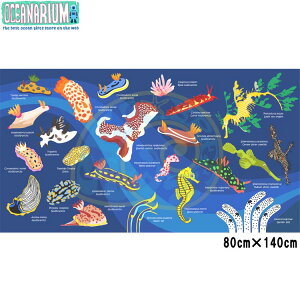 [ OCEANARIUM ] �h���C�^�I�� T01 Nudibranch identification dry towel 80cm x 140cm