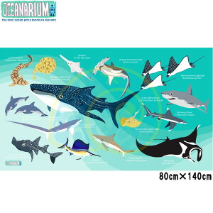 [ OCEANARIUM ] hC^I T10 green sharks identification dry towel 80cm x 140cm