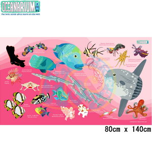 [ OCEANARIUM ] �h���C�^�I�� T11 Pink Mola & Reef fish identification dry towel 80cm x 140cm